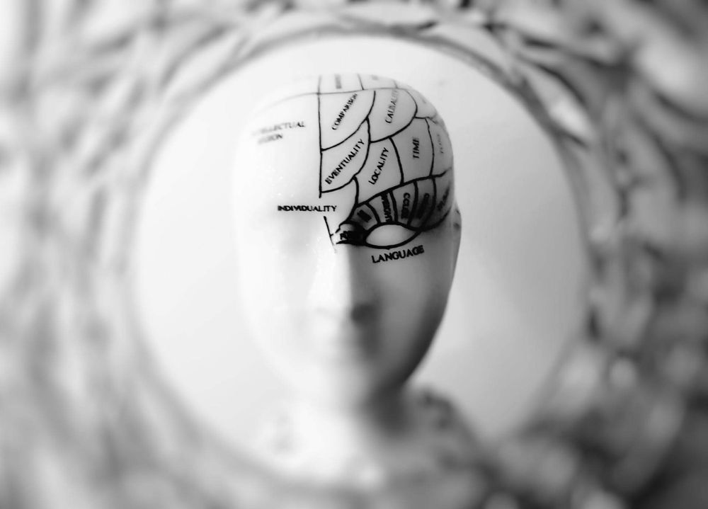 Salus Mental mobil uygulama görseli
